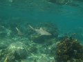 IMG_2661 (2)
